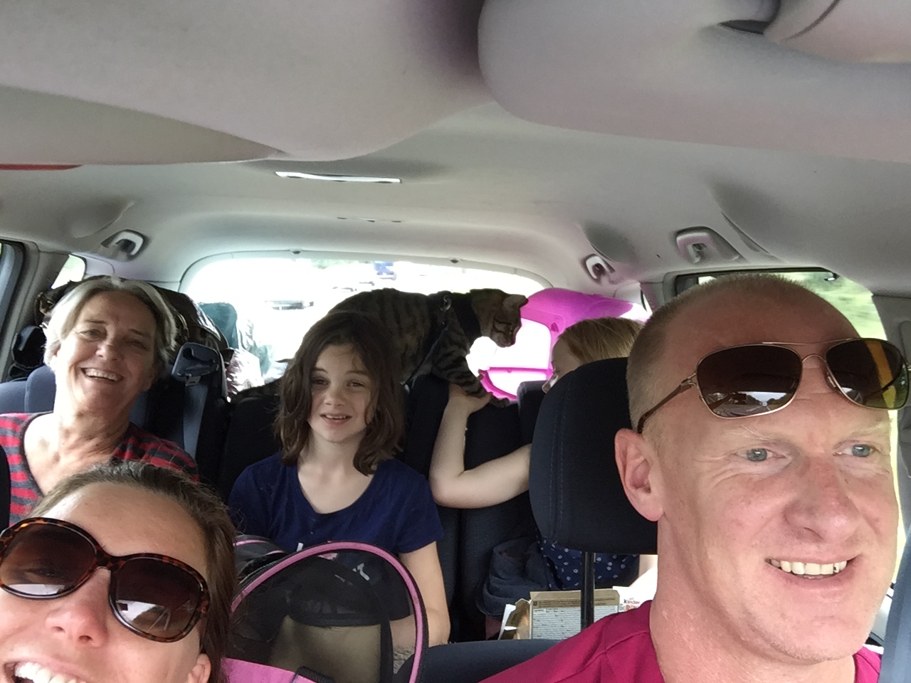 Moving - packed van happy